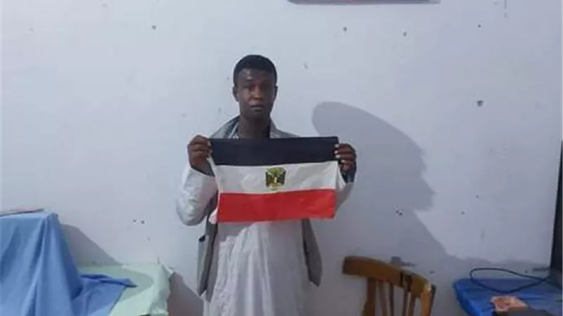الفنان 