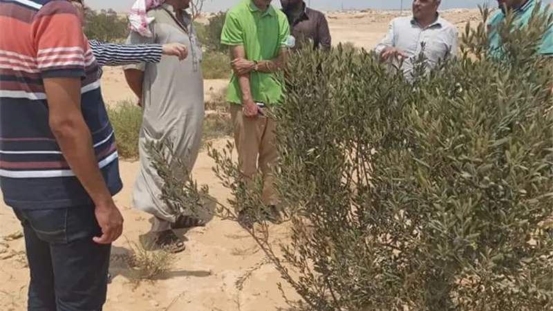 كلية الزراعة بمطروح تدفع بقافلة خدمية لقرية فوكه