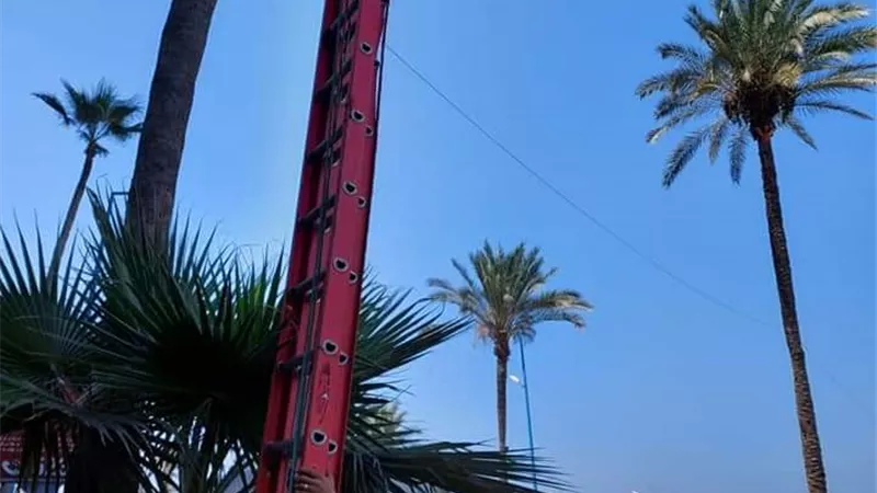 حي الجمرك يواصل إزالة سرقات التيار من الأعمدة بطريق الكورنيش وتأمينها