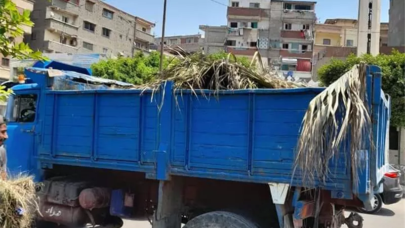 حدائق العجمى تواصل جهودها للإرتقاء بالمظهر الجمالى لحدائق الحى