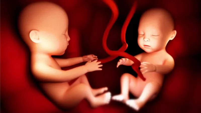 أعراض الحمل بتوأم بعد الحقن المجهري