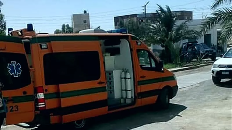بالاسماء .. مصرع واصابة ١٠ عمال يومية فى تصادم سيارة نقل مع حصان بالفرافرة