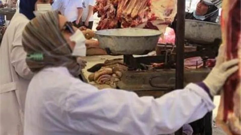 المركز الأول لبيطرى الشرقية في عدد محاضر المخالفة على مستوى الجمهورية