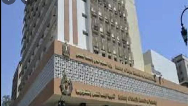 30 منحة دراسية حكومية كاملة بالجامعة الأمريكية بالقاهرة