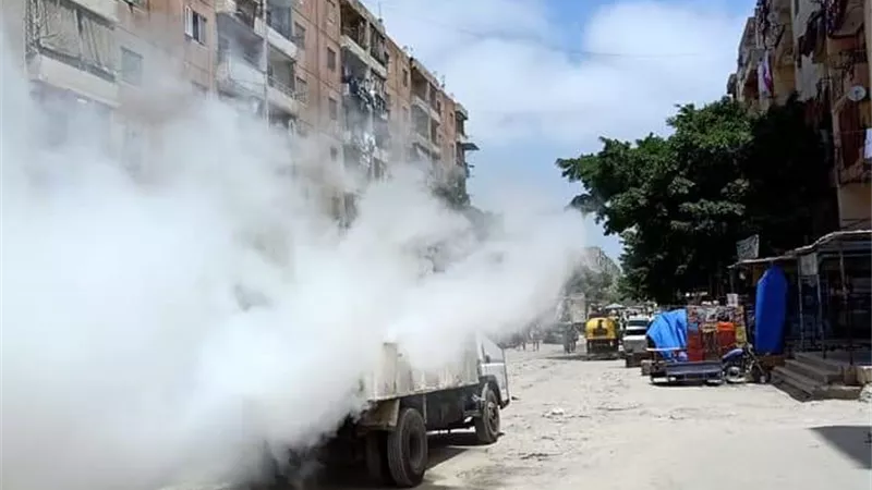 حملات التطهير تجوب شوارع حى العجمى