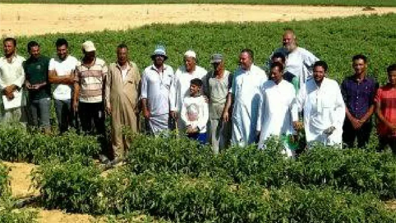 بسبب البلطجية.. استثمارات النوبارية في خطر