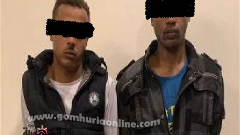 حبس القرد النص لسرقتهما شقة سيدة اعمال بالعامرية