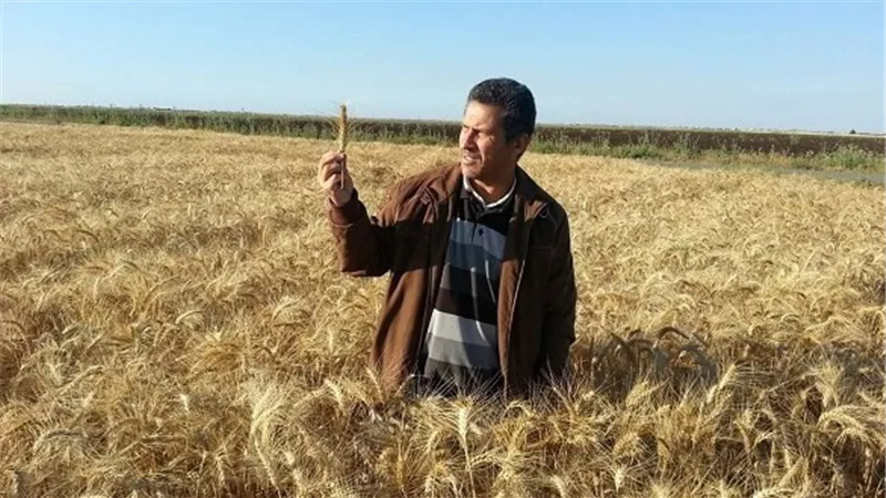 بالفيديو.. اقتصادي: انحباس الأمطار قد يؤثر على مزارعي الحبوب في المغرب