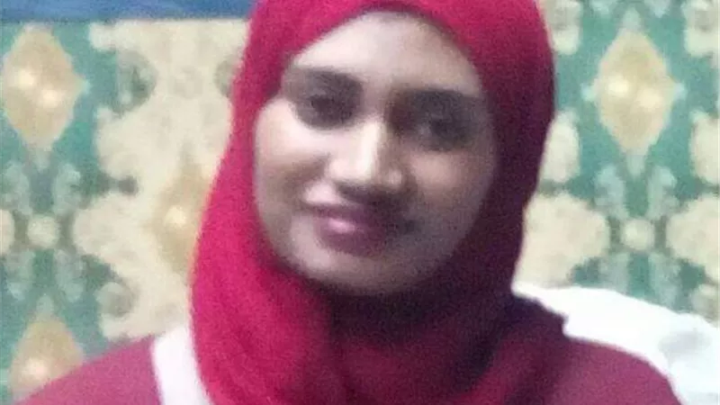 سيدتي الجميلة