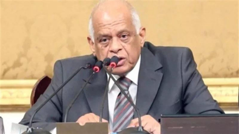 عبدالعال يرفع الجلسة العامة ويطالب النواب الحضور بكثافة غدا