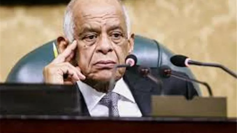 عبد العال يدافع عن وزيرة الصحة :