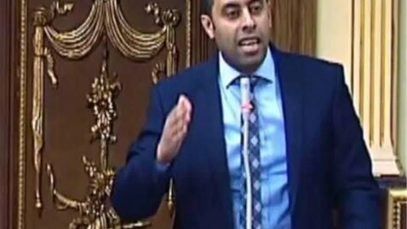 أحمد فرغلى: بيان بشبهة إهدار مال عام .. ونرفض هدم إستاد النادى المصرى