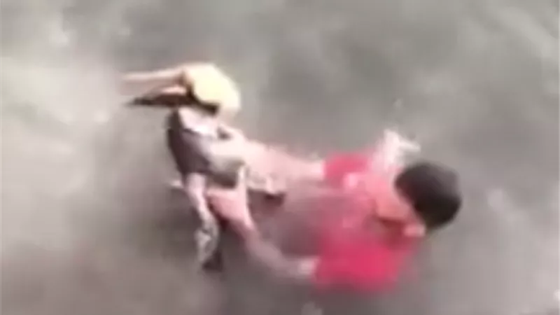 بالفيديو .. بجعة تعتدي على شاب .. وتقاضيه أمام المحكمة