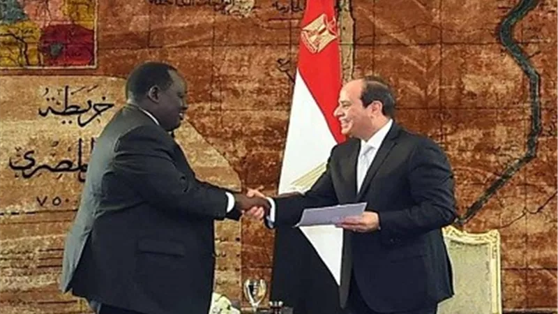 السيسى: مصر تساند جهود استعادة السلام والاستقرار في جنوب السودان