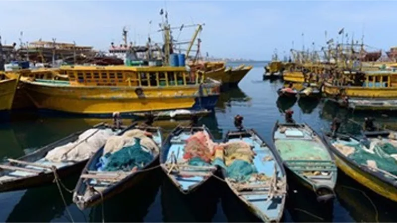 توقف حركة الصيد بكفر الشيخ
