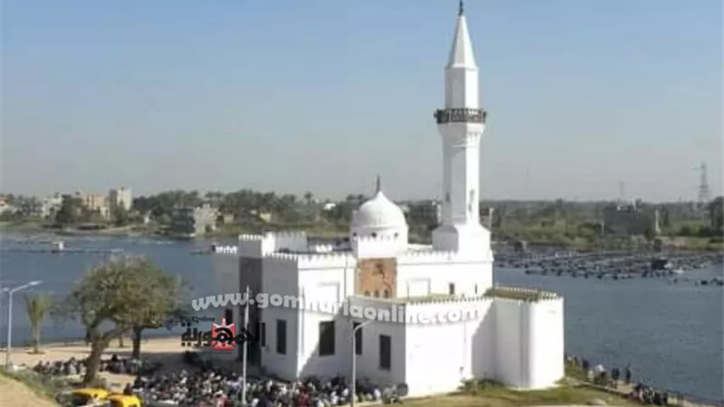 الخميس : افتتاح معرض نادى الكاميرا باتيليه الاسكندرية