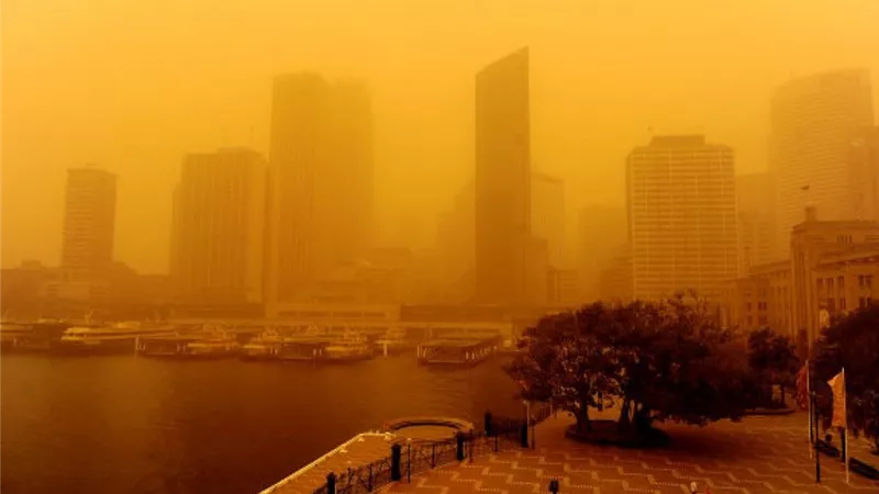 الأرصاد تحذر المواطنين من طقس اليوم