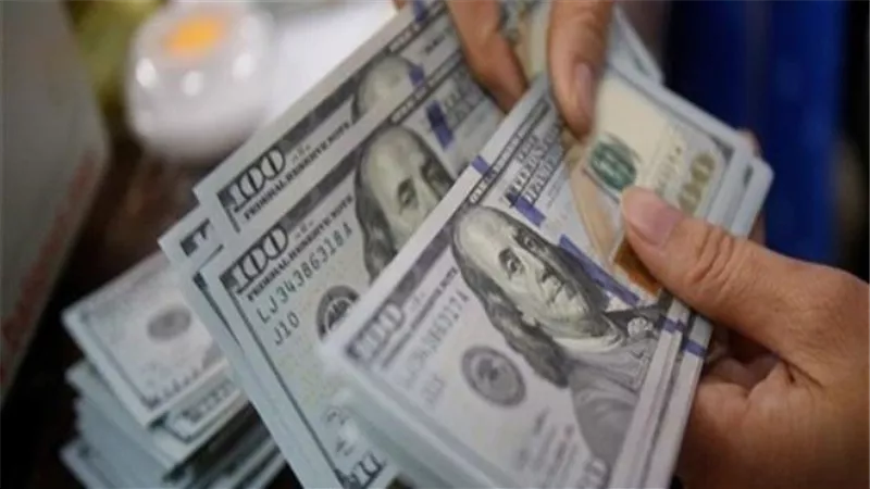 ضبط تشكيل عصابي لتهريب الأجانب بالقليوبية
