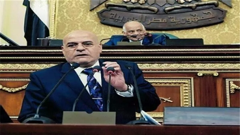 نائب : علينا مواجهة تقارير المنظمات الحقوقية الدولية المعادية لمصر