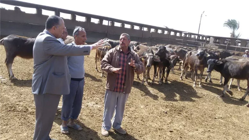 محافظ أسيوط: خطة شاملة لتطوير مزارع الثروة الحيوانية ومتابعات وجولات مستمرة على المزارع