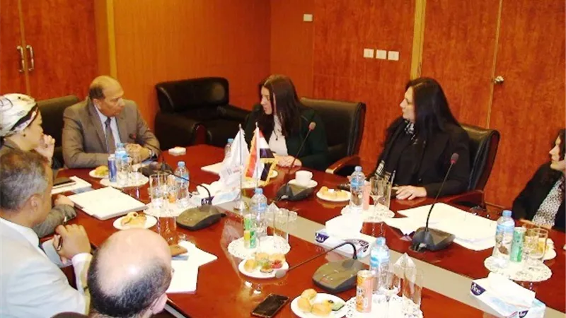 التنمية الصناعية:الإعداد لدمج الصناعة المصرية ضمن 