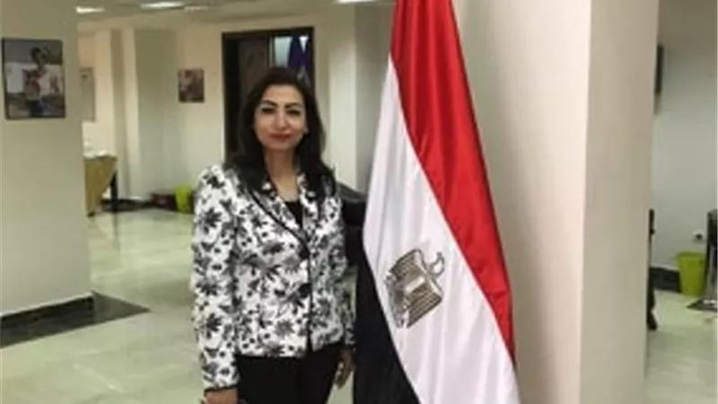 مؤسس 