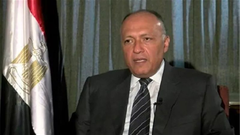 شكري يرأس وفد مصر في أعمال اللجنة المصرية العُمانية المشتركة في مسقط