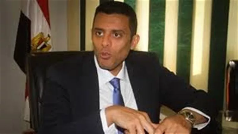 نائب رئيس حزب 