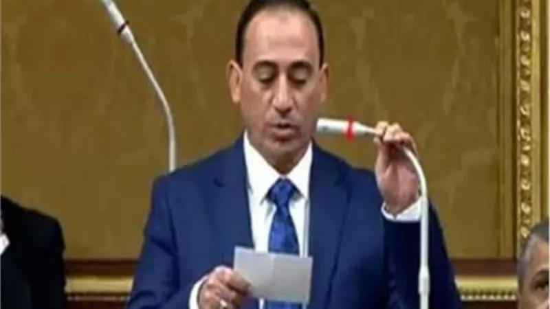 النائب زين الدين: مصر تمتلك موانئ كبيرة وقوية وينقصها بعض التطوير