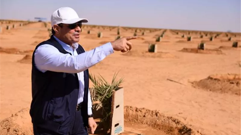 د. أحمد نبيه: مصر اكبر مصدر للتمور بعد زراعة نصف مليون شتله نخيل بتوشكي