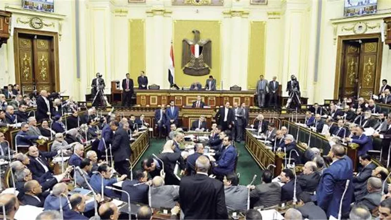 طلب إحاطة للنائبة شيرين القشاش تطالب بزيادة عدد أسرة العناية المركزة بالمنوفية