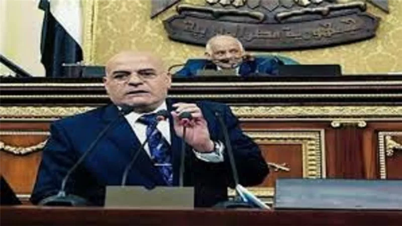 النائب فايز بركات: قرار السيسي بشأن علاوات اصحاب المعاشات يدل على مراعاة الظروف الاقتصادية للمواطنين