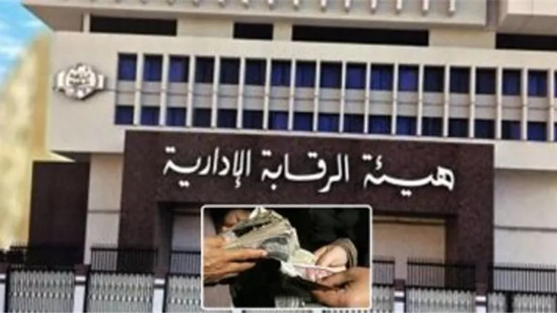 الرقابة الإدارية تعيد 1.3 مليار جنيه لخزينة الدولة