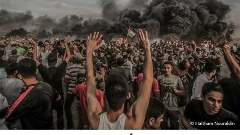 ملف مصور .. باقةٌ من القصص المدهشة ! الجزء الأول