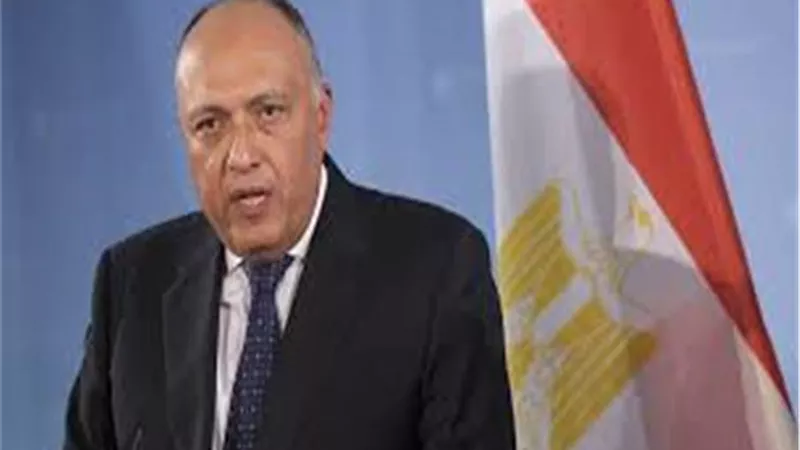 وزير الخارجية يتوجه إلى واشنطن غدا