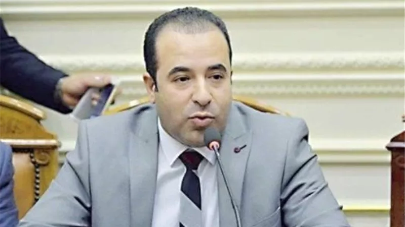 رئيس إتصالات البرلمان يحذر المصريين: 