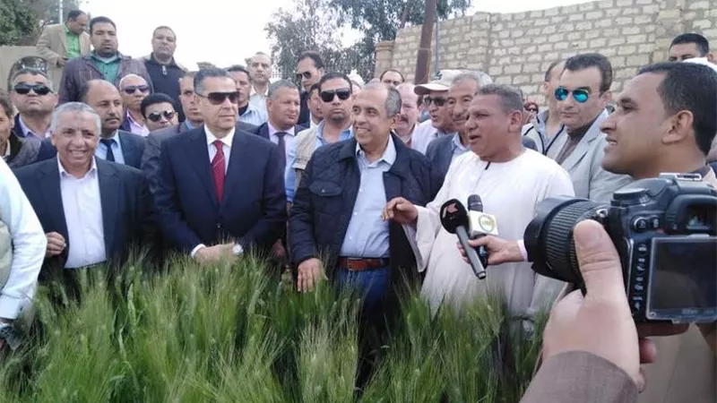 وزير الزراعة ومحافظ بني سويف يتفقدان تجميعة ارشادية لمحصول القمح
