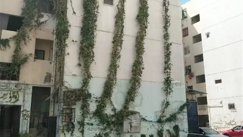 رئيس حى الضواحى يشيد ويشكر سكان عقار لتجميلهم واجهة العمارة .. صور
