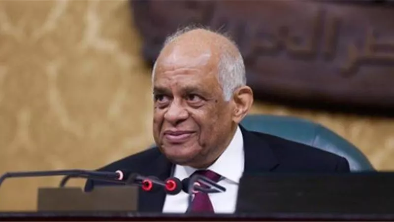 رئيس البرلمان لرجال القضاء: حريصون على استقلالكم فى التعديلات الدستورية