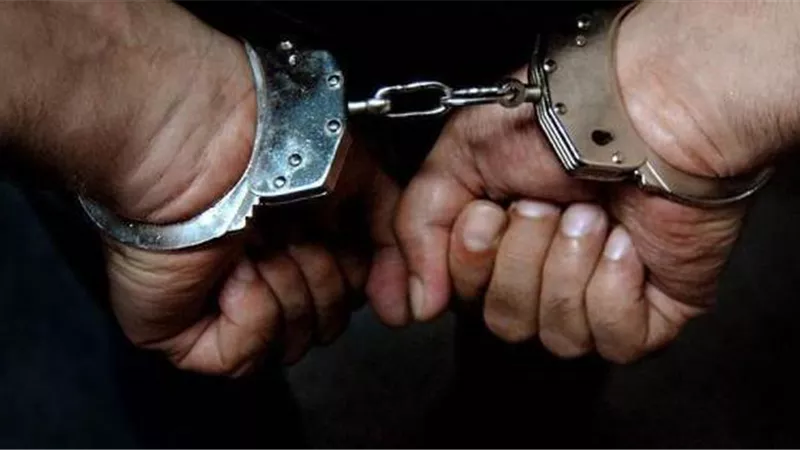 ضبط تشكيل عصابي للإتجار بالسلاح بالقليوبية