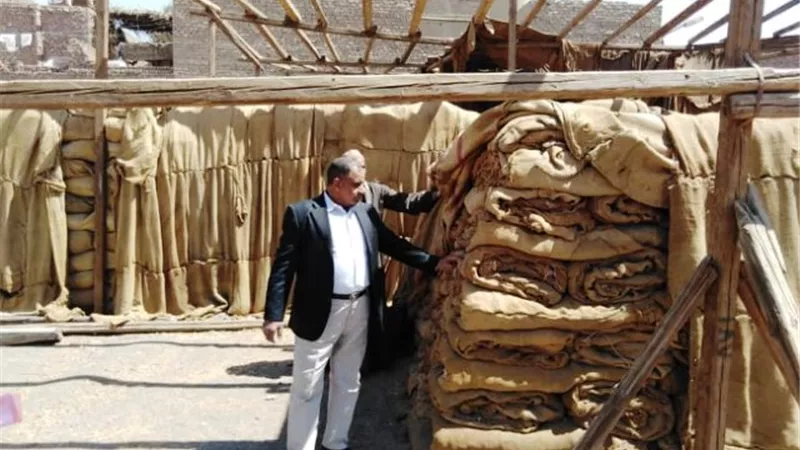 محافظ أسيوط: تجهيز 29 صومعة وشونة وهنجر لإستقبال 133 ألف طن قمح