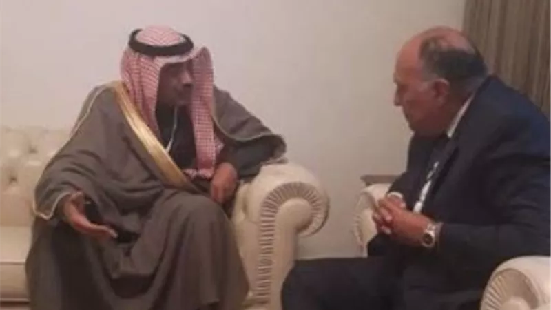 شكري يلتقي نائب رئيس مجلس الوزراء ووزير الخارجية الكويتي