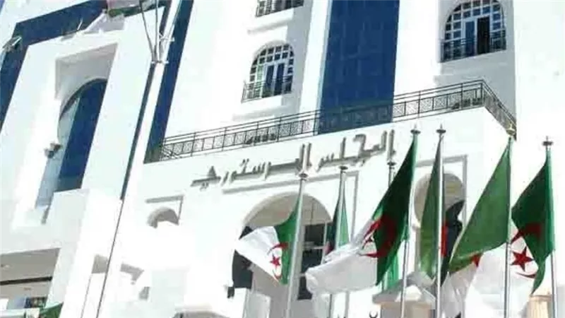 بالفيديو.. سياسي جزائري: المجلس الدستوري يطيل عمر الأزمة.. وتطبيق المادة 102 ينهي حكم