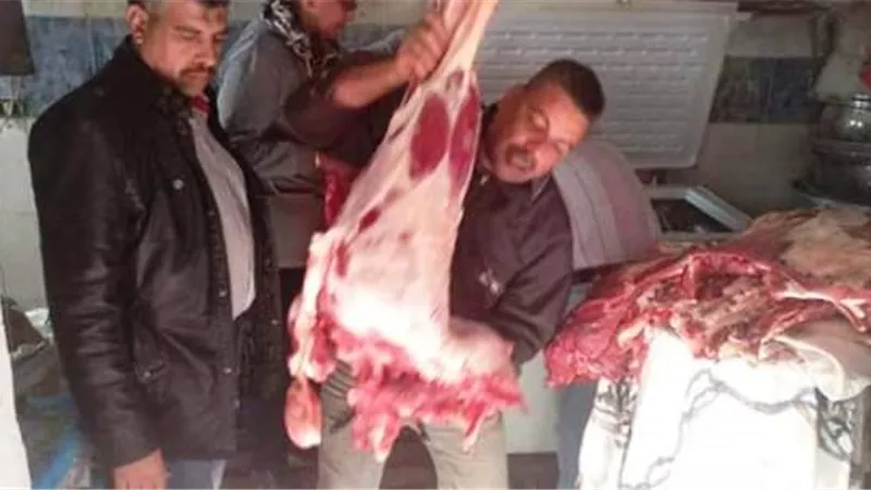 رئيس حى الزاوية الحمراء يضبط 150كيلو لحوم فاسدة فى حملة تموينية