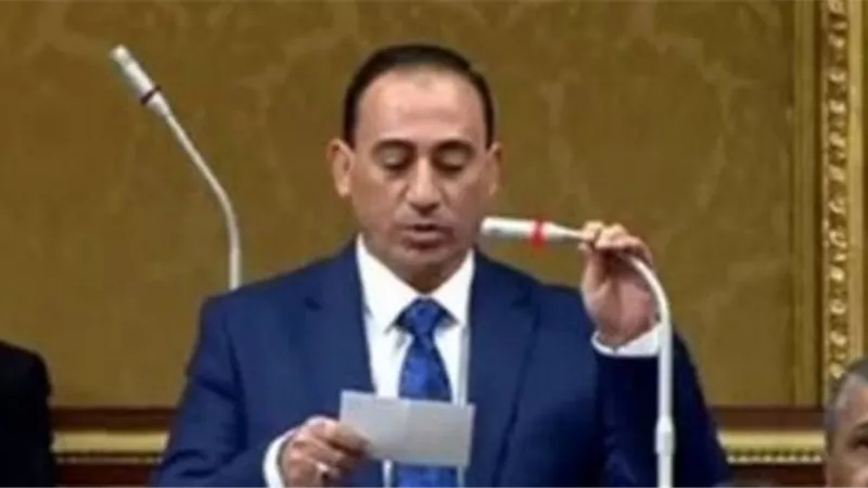 وكيل 