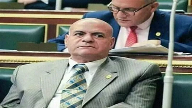 النائب فايز بركات : زيادة الأجور هي هدية للمصريين على صبرهم