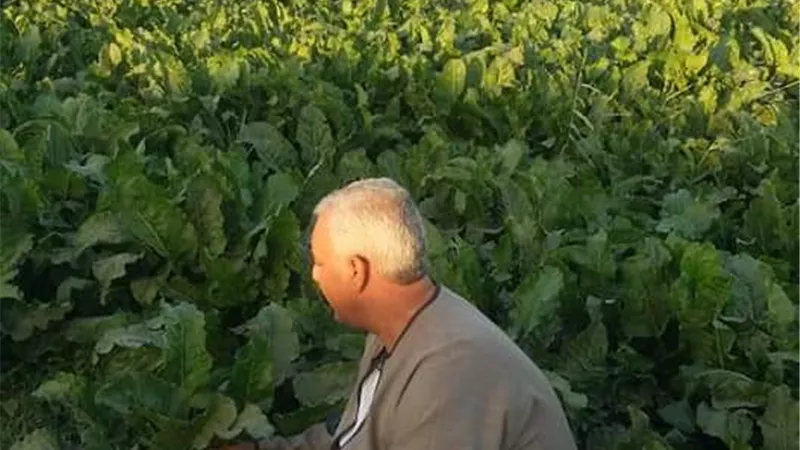 نقيب عام الفلاحين: القصب يخوض حرب وجود ضد البنجر