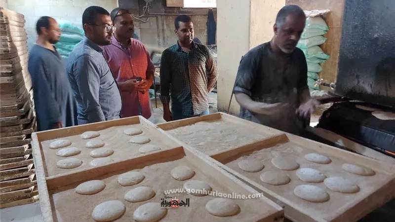 تحرير ٧ محاضر للمخابز فى حملة تموينية بإسنا جنوب الأقصر