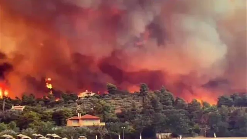 رئيس الوزراء اليوناني يكشف آخر تفاصيل الوضع مع حرائق الغابات.. صور