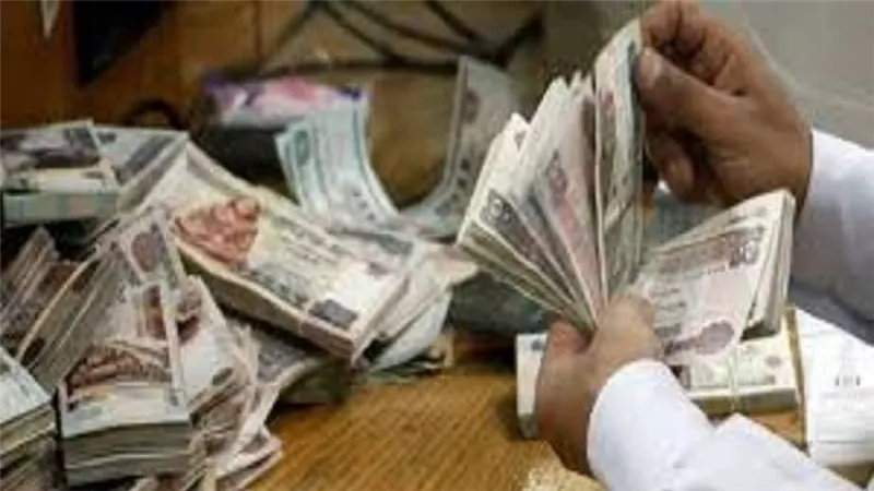 ضبط شخص بتهمة النصب على اموال المواطنين بححة استثمارها في تسمين المواشي